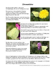 Zitronenfalter-Steckbrief.pdf